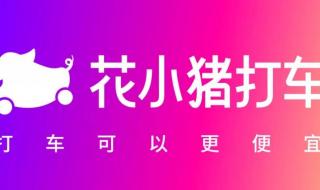 花小猪打车暂停服务 花小猪打车暂停服务