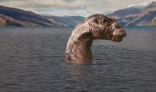 天山天池疑拍到水怪 天山天池疑拍到水怪