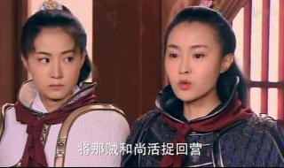 尉迟恭黑白夫人 尉迟恭黑白夫人