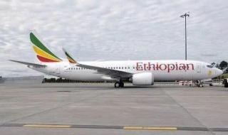 坠毁客机黑匣子找到 坠毁客机黑匣子找到