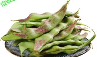 九月青豆角产自哪里 九月青豆角产自哪里