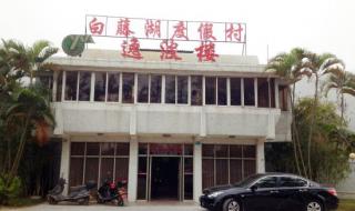 珠海白藤湖 珠海白藤湖