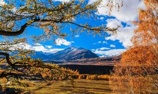 新疆的风景 新疆的风景