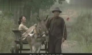 我的兄弟叫顺溜荷花 我的兄弟叫顺溜荷花